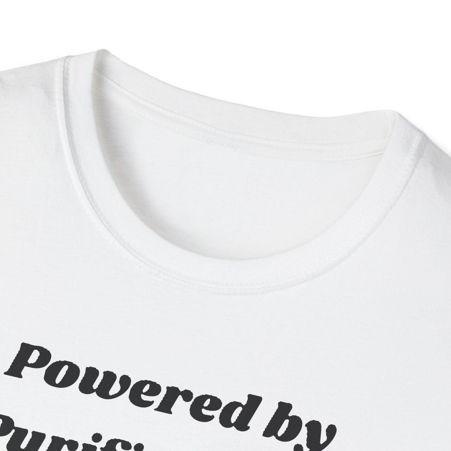 🪬Purified & Protected Spirit Guardians Tee Shirt🪬