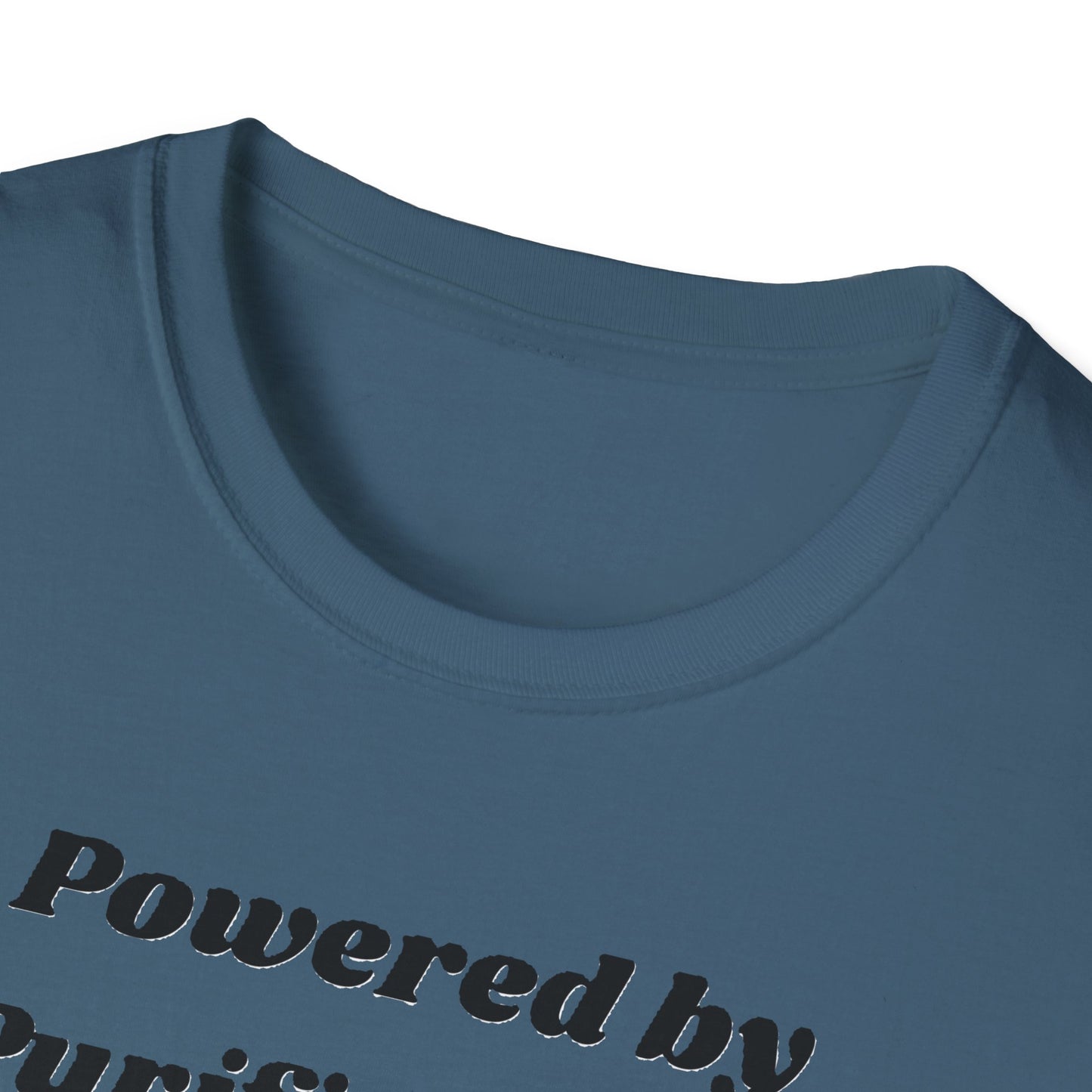 🪬Purified & Protected Spirit Guardians Tee Shirt🪬