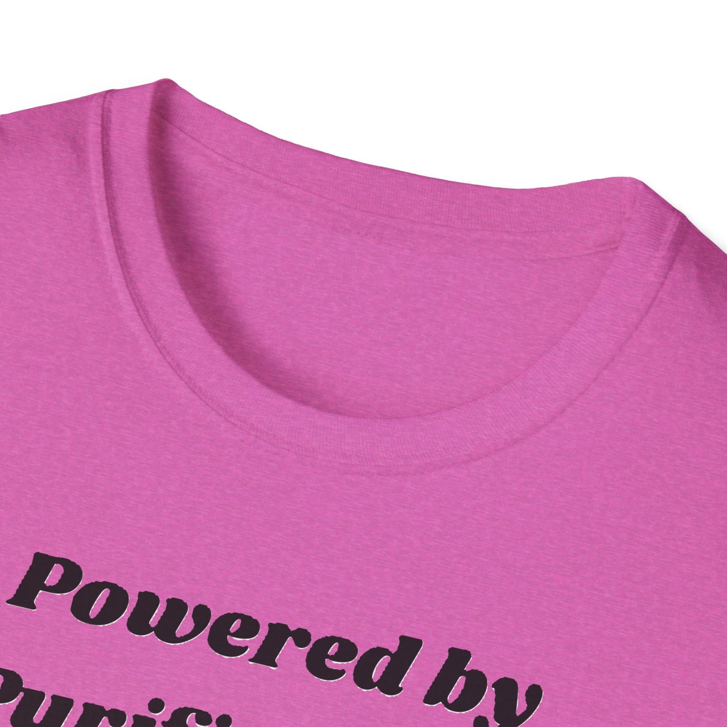 🪬Purified & Protected Spirit Guardians Tee Shirt🪬