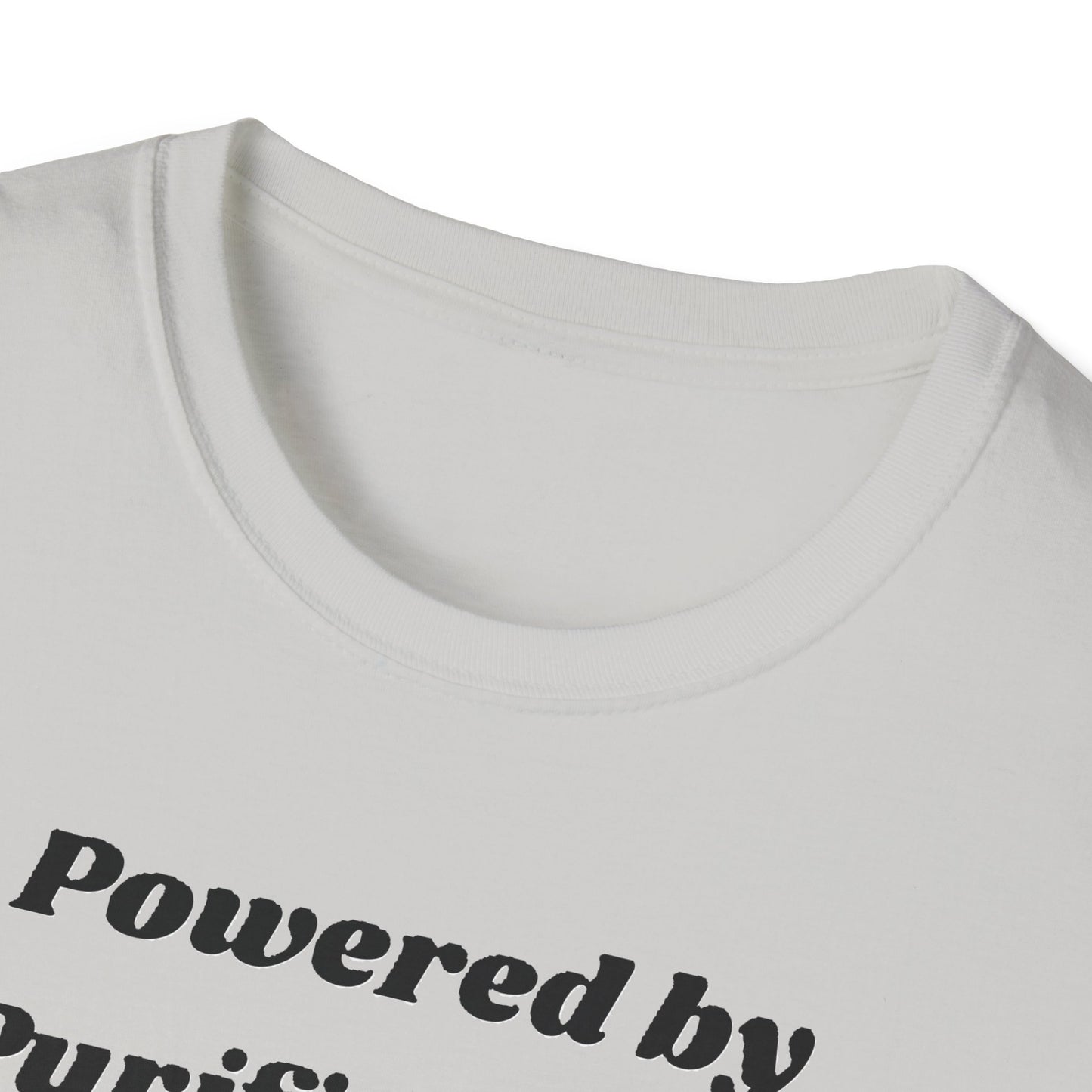 🪬Purified & Protected Spirit Guardians Tee Shirt🪬
