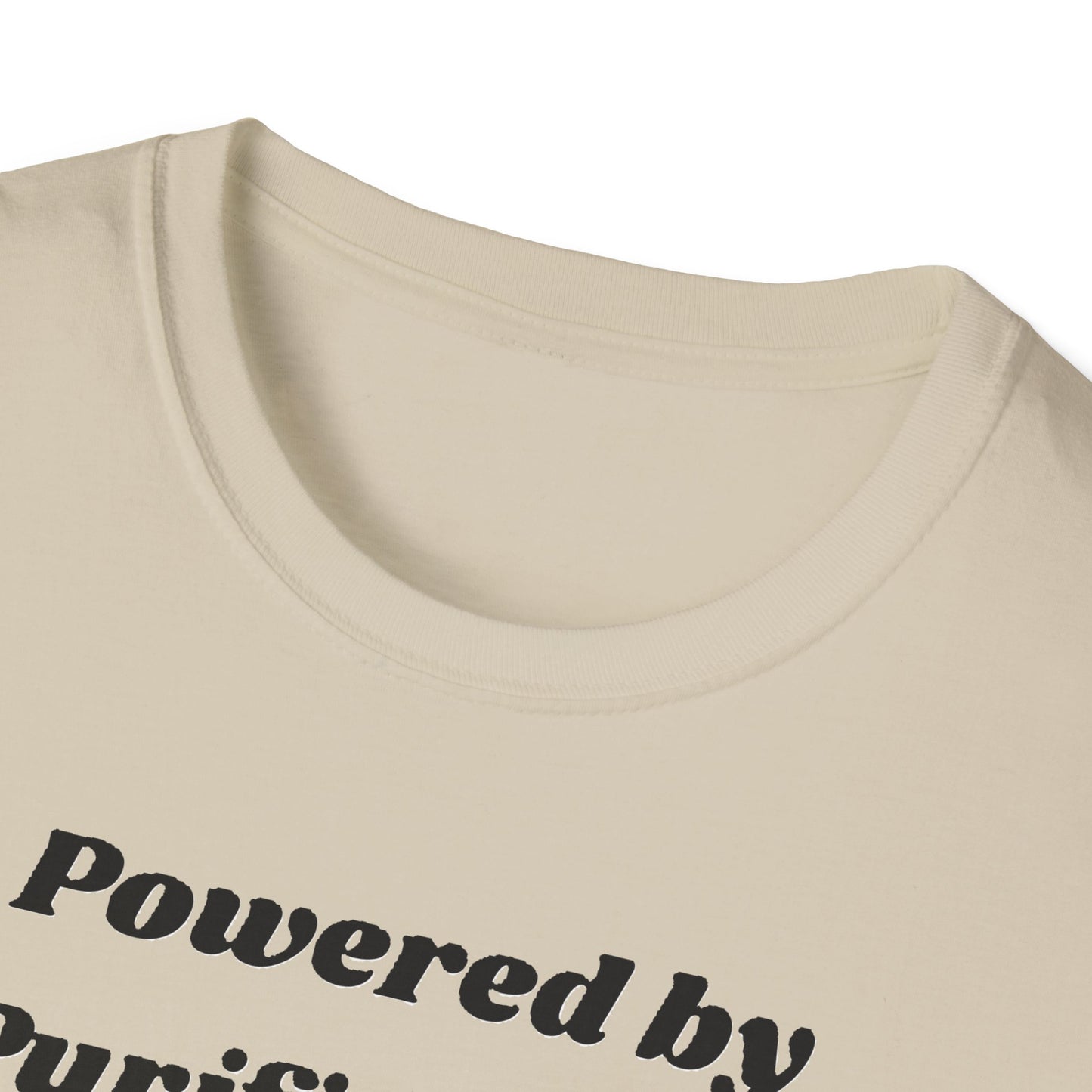 🪬Purified & Protected Spirit Guardians Tee Shirt🪬