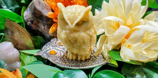 🦉 Solren Spirit Guardian Wax Melt Amplifier 🦉